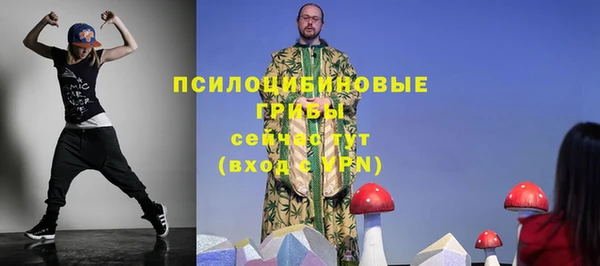 Альфа ПВП Арсеньев