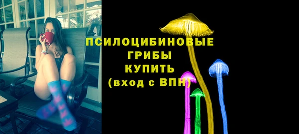 ГАЛЛЮЦИНОГЕННЫЕ ГРИБЫ Алзамай