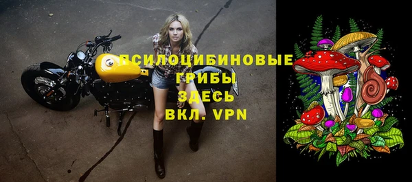 Альфа ПВП Арсеньев