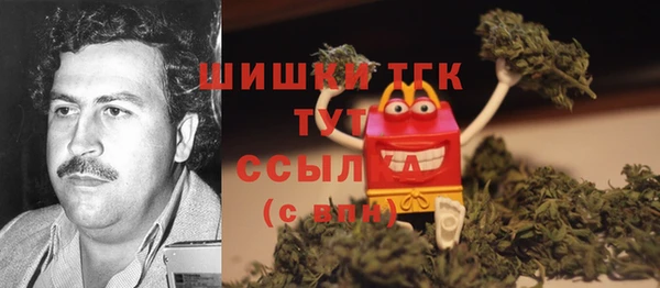 амф Аркадак