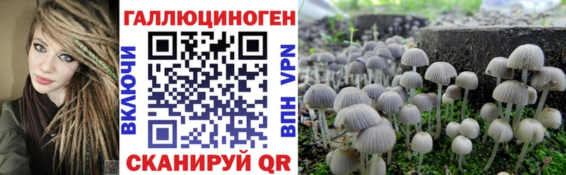 купить  сайты  Кулебаки  Галлюциногенные грибы мицелий 